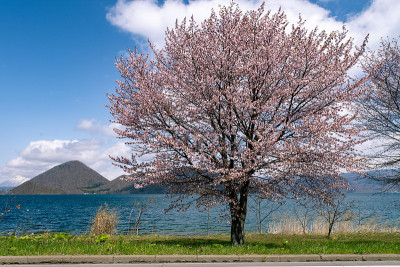 北海道洞爷湖风光。