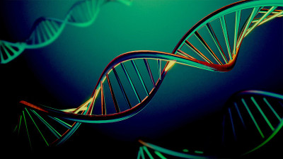 3D未来DNA界面与HUD和信息图形元素。虚拟技术背景。科学。生物学。人类。图表。