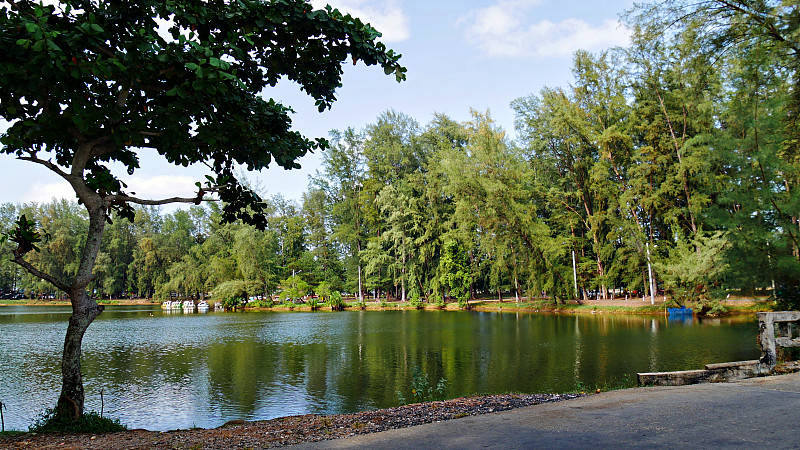 Hat Narathat Beach, Narathiwat，路边景色