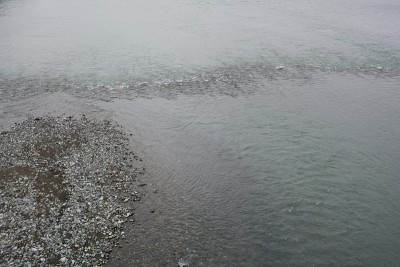 河口附近的景色