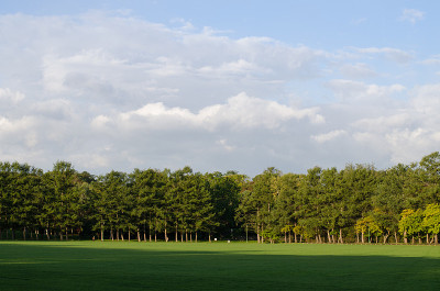 公园景观