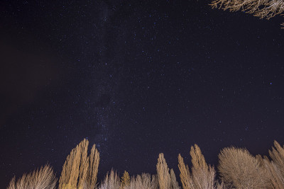 在阿根廷门多萨的乌斯帕拉塔，冬天的天空满是星星，旁边是树