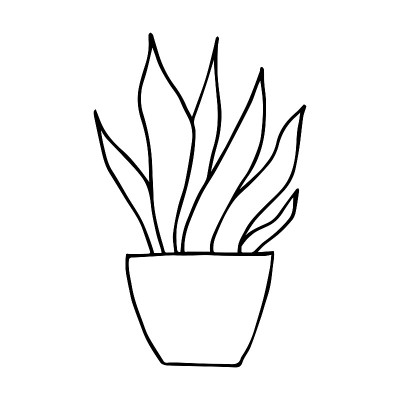 家庭植物，涂鸦，插图