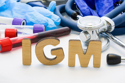 实验室诊断中的医学缩写IGM。字母IGM，意思是免疫球蛋白M医学，被血液、听诊器和其他医疗设备的试管
