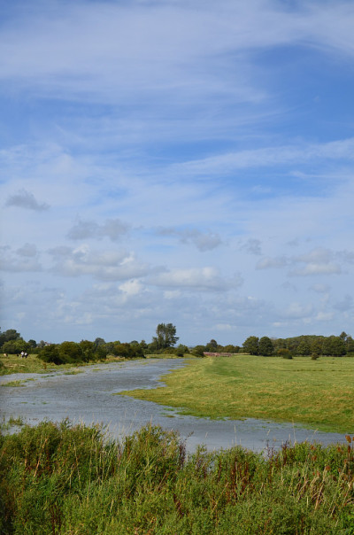 河Cuckmere。