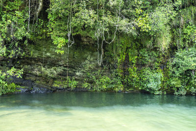 veadeiros的Chapada dos veadeiros