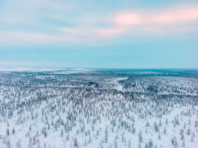 覆盖着积雪的松林鸟瞰图