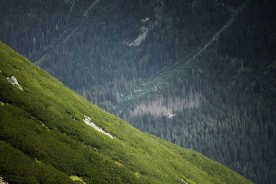 山景城