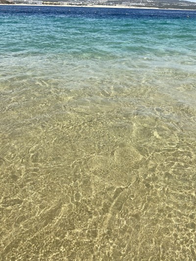 海