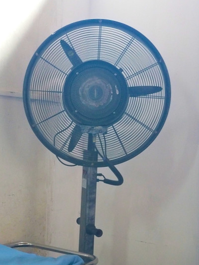 一个球迷
