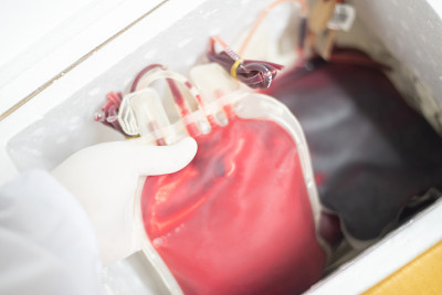 Blood bag for saft life.Blood bank laboratory.