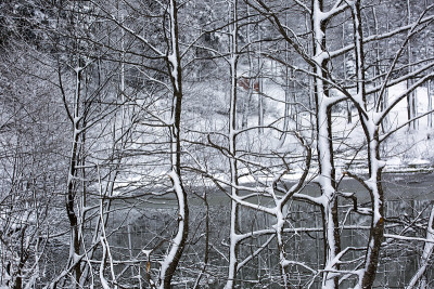 冬季和雪景