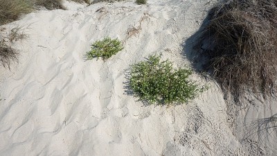 秋天的葡萄牙风景