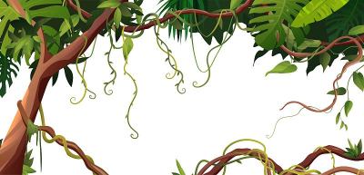 藤本植物或藤本蔓生枝，具有热带叶背景。热带攀缘植物。