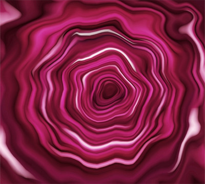 特写红玫瑰，花背景，3d渲染