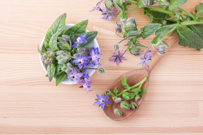 蜜蜂面包