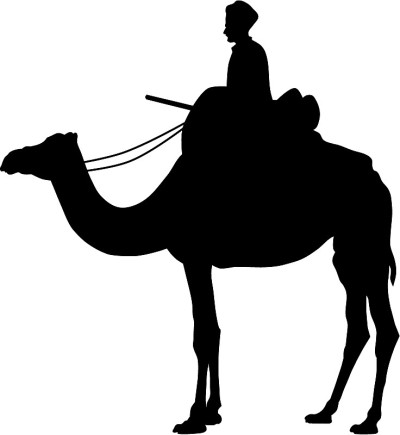 骆驼轮廓