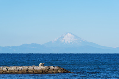 从北条海滩看富士山