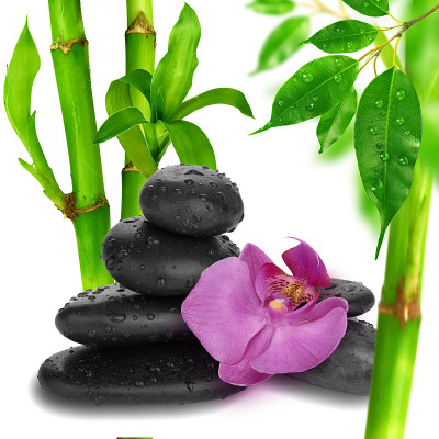 紫兰花花端竹