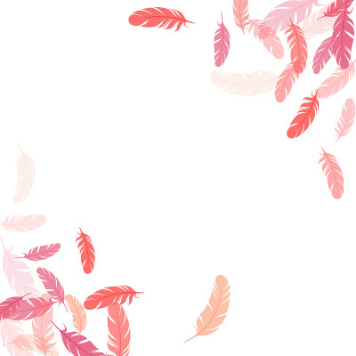 Fluffy twirled feathers on white design.