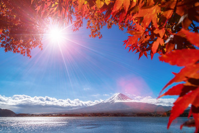 富士山秋色，日本