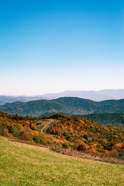 Field on a Bald Mountain