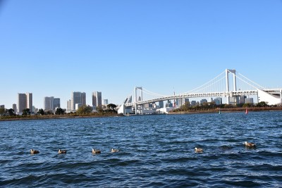 东京市景白天