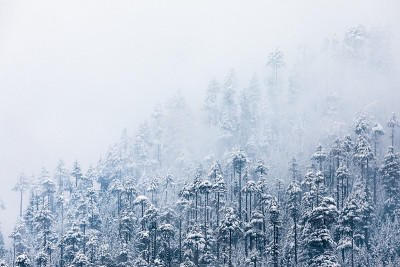 降雪