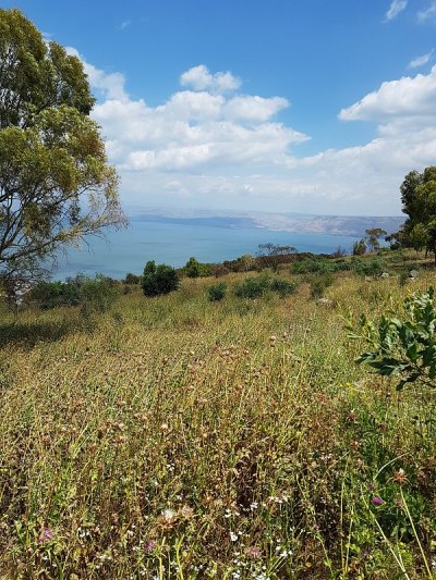 加利利海和戈兰高地的神奇风景，在夏天，北以色列