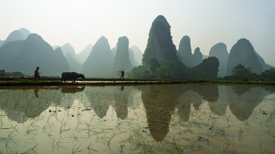 犁