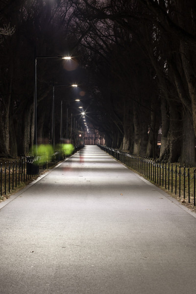 在倒影池附近的夜间跑步者