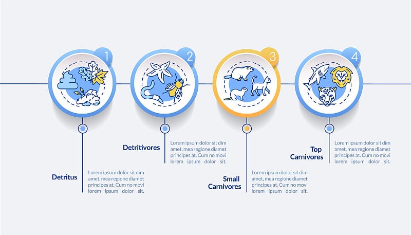 碎屑食物链矢量信息图模板。呈现设计元素有食肉型和食肉型。数据可视化有4个步骤。过程时间图。带有线性图