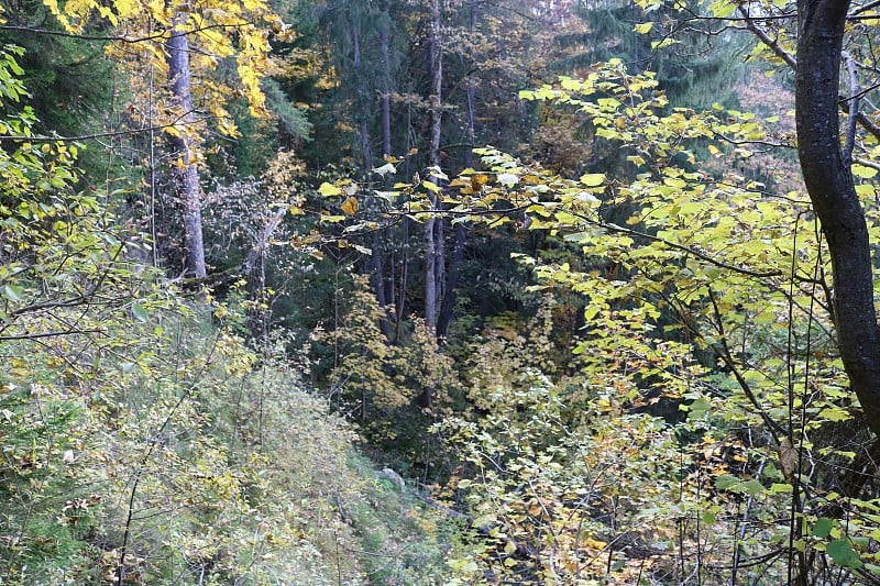 徒步到黑客- Pschorr吊桥。巴伐利亚州的Garmisch - Partenkirchen