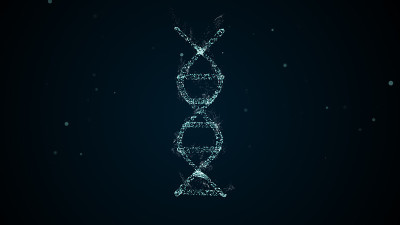 数字神经丛DNA分子的抽象技术表示