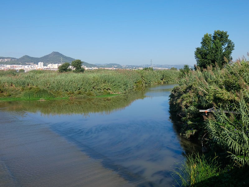 劳埃德布雷盖特河，巴塞罗那，西班牙