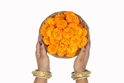 在Shubh Deepawali, Dussehra, Navratri, Durga Pooja等