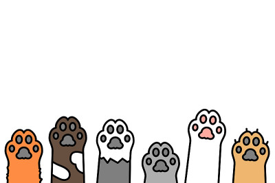 猫爪色线图标。小猫足迹。