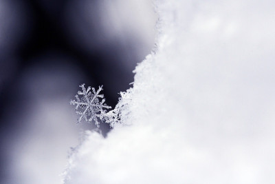 雪花