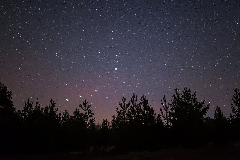 宁静的夜景，松树林的剪影与大熊星座的上方