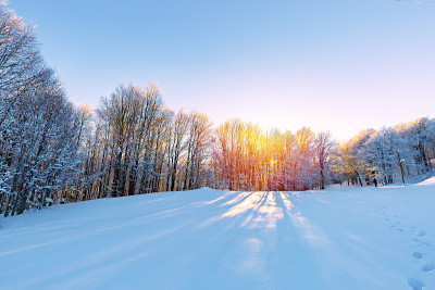 冬天。美妙的冬天的风景。树被雪覆盖着。到处都是白色的。寒冷的天气。乌鲁达格，布尔萨，土耳其伊斯坦布尔