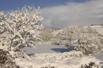 冬季雪景卡迪夫，南威尔士，英国