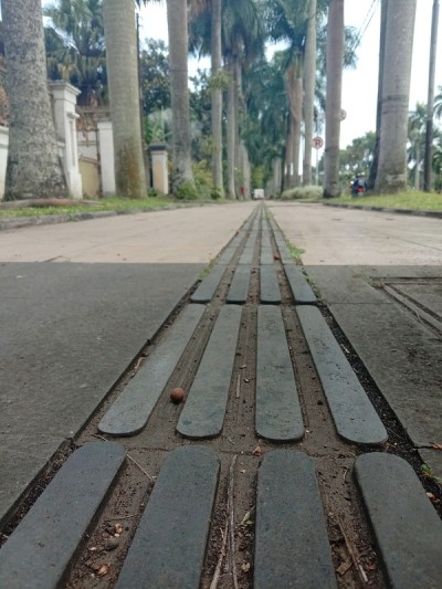 行人路径