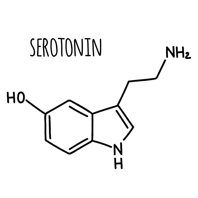 分子结构化学式