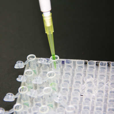 一步PCR
