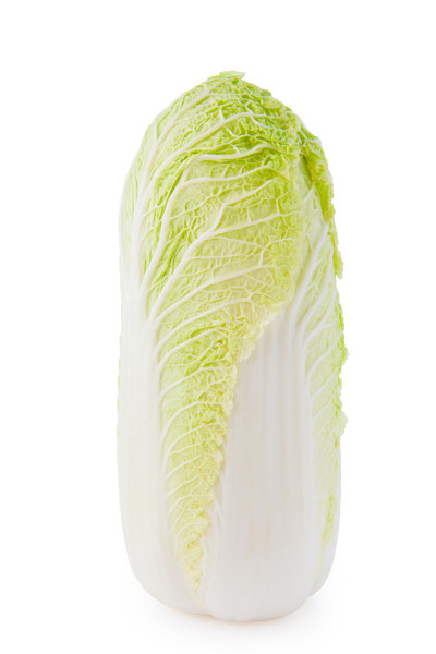 孤立在白色背景上的大白菜