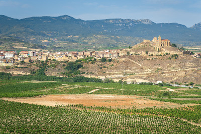 西班牙里奥哈的圣维森特·德拉·桑塞拉(San Vicente de la Sonsierra)夏日葡