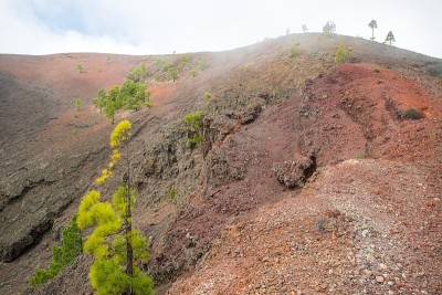 火山路线，拉帕尔马。