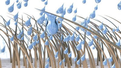 头发被水滴弄湿的3d插图