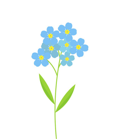 忘记我不是花