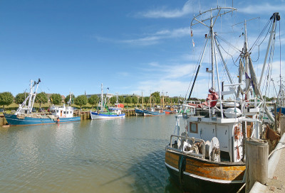 Buesum,北海,北Frisia,德国